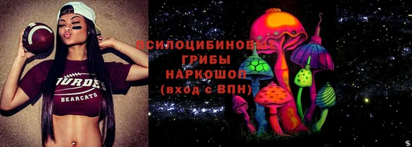 прущие грибы Верхнеуральск