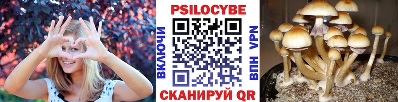 Галлюциногенные грибы мицелий даркнет формула Вытегра